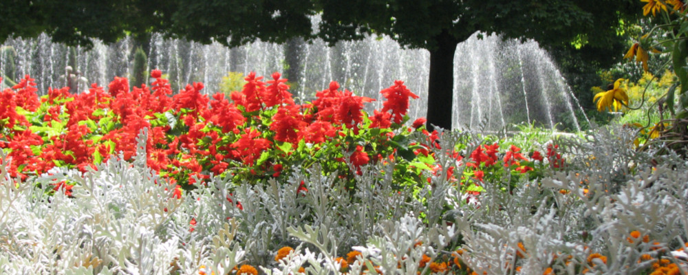 санаторий в Польше горы Бескиды Крыница-Здрой